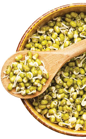 முளைகட்டிய பயறு!
