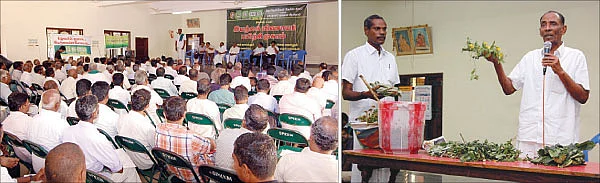 மாவுப்பூச்சிக்கு மணியான தீர்வு!