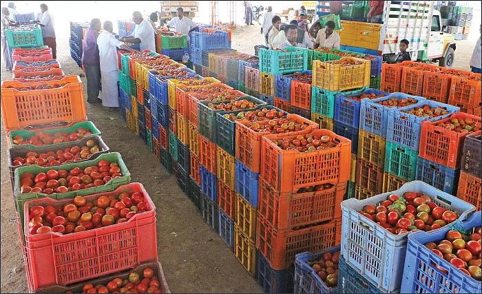 அள்ளித்தரும் அக்கரைச் சீமை... ஏற்றுமதிக்கு வழிசொல்லும் வெற்றி சூத்திரங்கள்! - 4