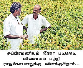 கலகல கனகாம்பரம்...