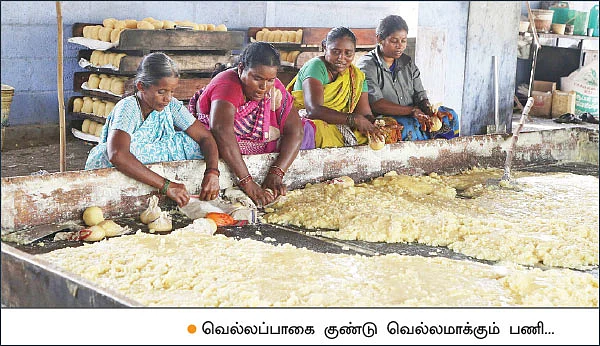 கூடுதல் லாபம் தரும் ‘சேலம்’ குண்டு வெல்லம்!