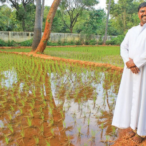 கருத்தக்கார்... சொர்ண மசூரி... காய்கறிகள்! - அருட்தந்தையின் அற்புதச் சாகுபடி...
