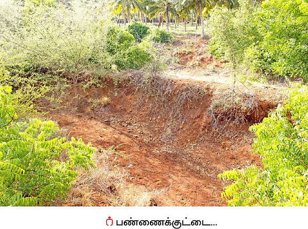 பஞ்சகவ்யா - 12