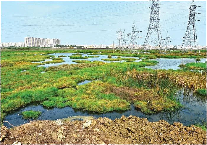 ரூ.100 கோடி சொத்து சேர்த்தாரா சார்பதிவாளர் சிவப்பிரியா?