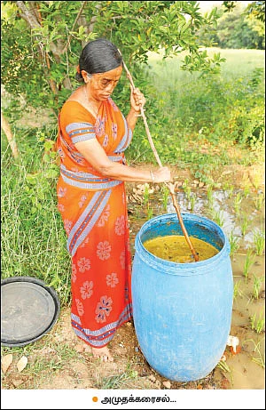 ஏக்கருக்கு ரூ. 99,000... நம்மாழ்வார் கற்றுக்கொடுத்த நல்ல சாகுபடி!