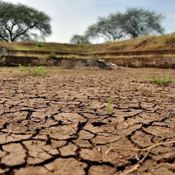 Practical Solution to Cauvery Water Dispute... “No one to take it” says Agri Associations