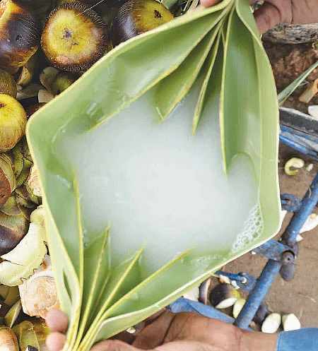 மருத்துவம்