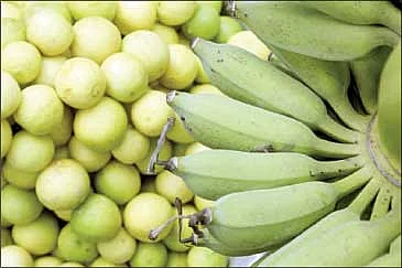 ஏற்றம் தரும் எலுமிச்சை...வாரிக்கொடுக்கும் வாழை !