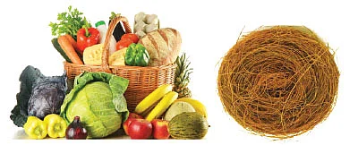 இயற்கையை வணங்குவோம்!