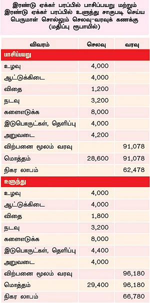 மானாவாரியிலும் மகத்தான லாபம் கொடுக்கும் பாசிப்பயறு,உளுந்து!