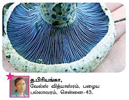 சுட்டி நியூஸ் - இது எங்க ஏரியா