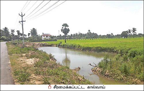 பாலாறு முதல் வாயலூர் வரை... உயிர்பெற்ற ஒரு கால்வாய்!