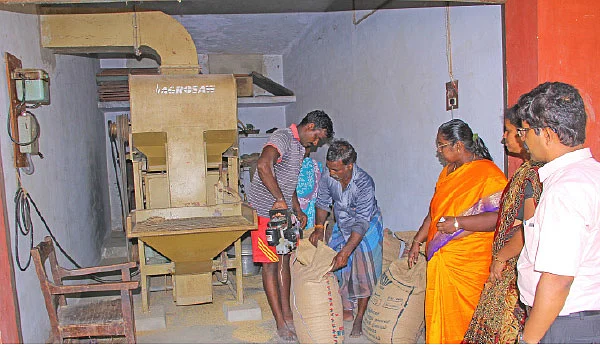 அதிக மகசூல் தரும் மானாவாரி ரகங்கள்...