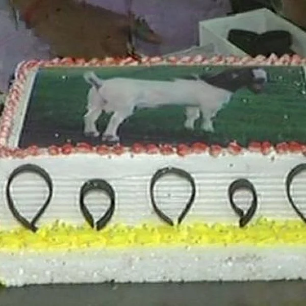 லக்னோவில் கேக் வெட்டி பக்ரீத் கொண்டாட்டம்!
