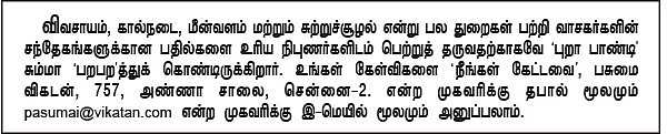 நீங்கள் கேட்டவை : காடைக்கன்னி சிறுதானியத்தின் சிறப்புத் தன்மை என்ன?
