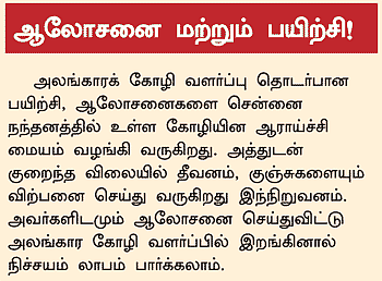 அழகா செய்தால் அள்ளலாம் லாபம்! - 8