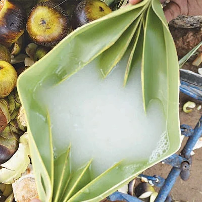 மருத்துவம்