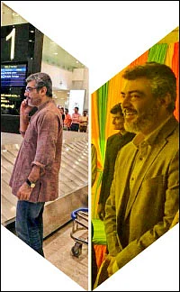 பிட்ஸ் பிரேக்