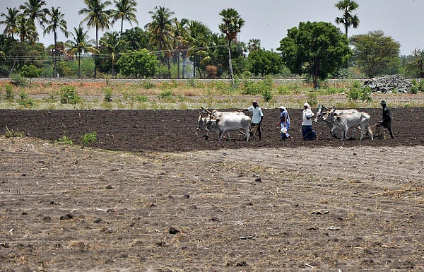 மண்ணுக்கு மரியாதை