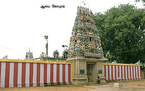 எல்லை சாமிகள்!