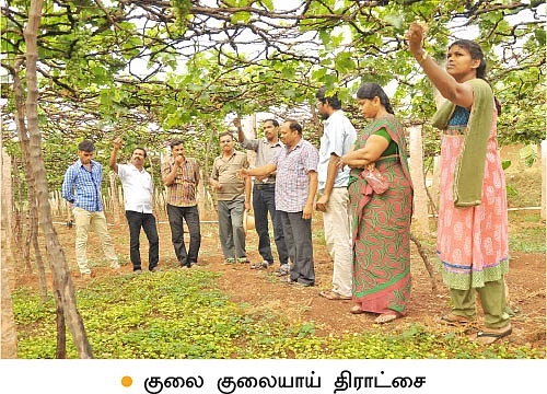 ’ஒரு நாள் விவசாயி!’