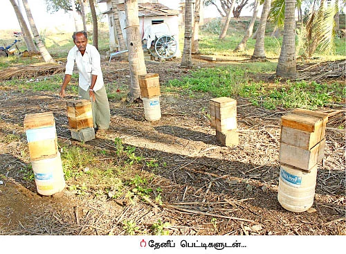 50 சென்ட்... ஆண்டுக்கு ரூ 2 லட்சம் லாபம்!