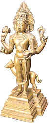 உதவலாம் வாருங்கள்!