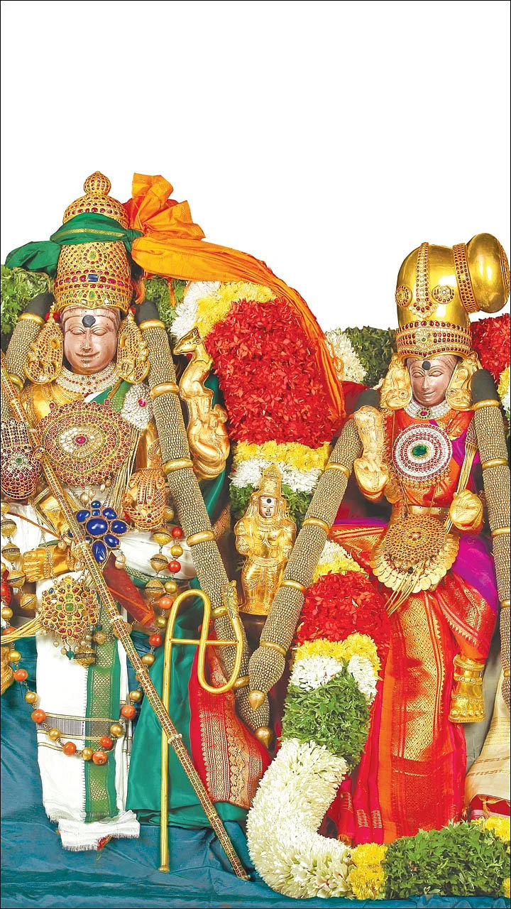 மதுரை சித்திரைத் திருவிழா! - சக்தி ஸ்பெஷல் ஸ்டோரி