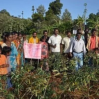 அபூர்வ மூலிகைகள்...சிறுதானியங்கள்...கொல்லிமலை சொல்லும் ரகசியங்கள்!