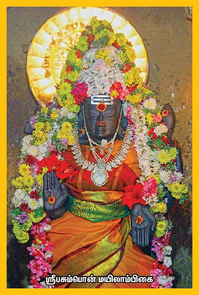 பிணிக்கு மருந்தாகும் பிரசாதத் திருநீறு!