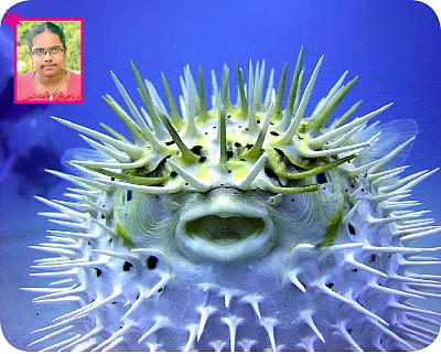 சுட்டி ஸ்டார் நியூஸ்