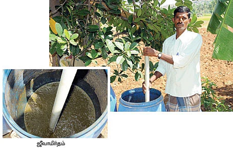 ஒன்றரை ஏக்கர்... 4 மாதம்... 70 ஆயிரம் ரூபாய்...