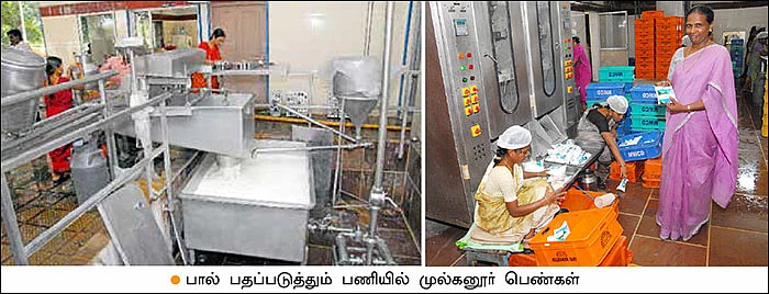 மண்புழு மன்னாரு: லாபகரமான பால் பண்ணைக்கு வழிகாட்டும் தெலங்கானா!
