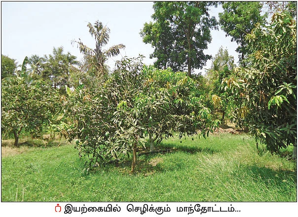 ‘பசுமை’ காட்டிய பாதை! - சத்தீஸ்கரில் மலரும் இயற்கை விவசாயம்!