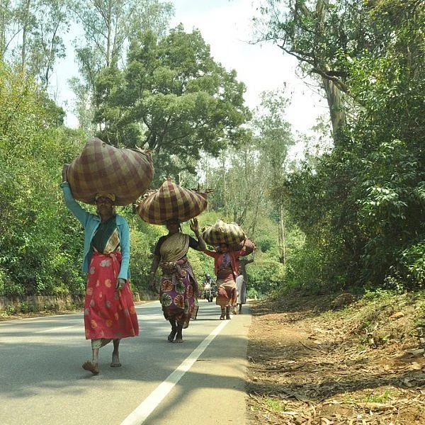 நீலகிரி பெண் தொழிலாளர்கள்
