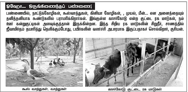 ஏக்கருக்கு 2.5 லட்சம்...