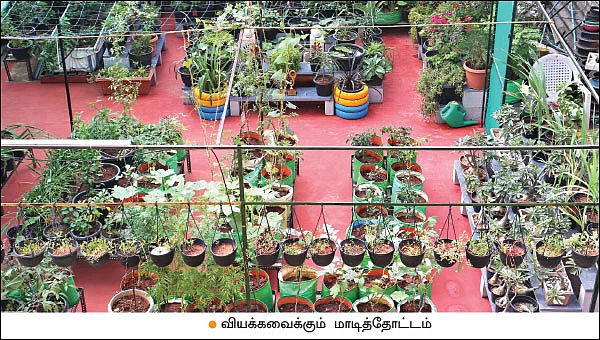 கொஞ்சம் மூலிகைகள் + கொஞ்சம் காய்கறிகள் - நிறைவான ஆரோக்கியம்!