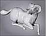 ராசிபலன்கள்