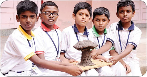 காளான் பாறை!