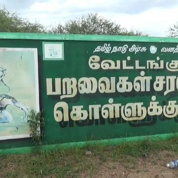 வேட்டங்குடி பறவைகள் சரணாலயம்