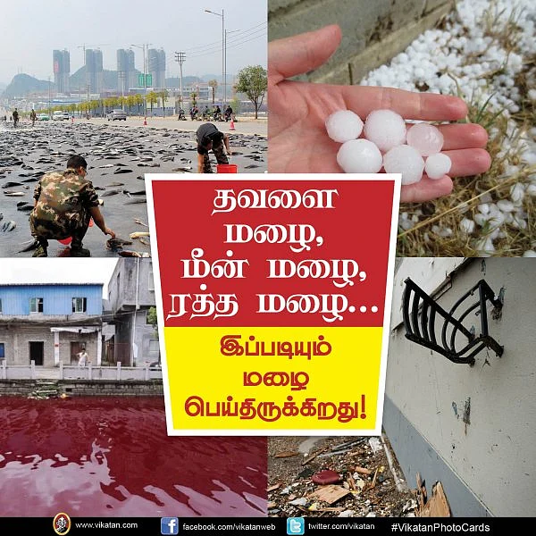 தவளை மழை, மீன் மழை, ரத்த மழை... இப்படியும் மழை பெய்திருக்கிறது! #VikatanPhotoCards