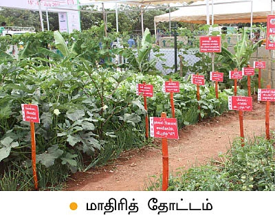 அக்ரி இன்டெக்ஸ்... மவுசு கூடிய மாடித்தோட்டம்!