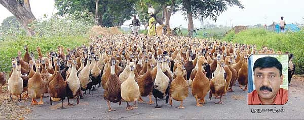 நீங்கள் கேட்டவை