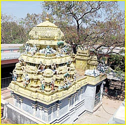 அருள் தரும் அம்மன் உலா!