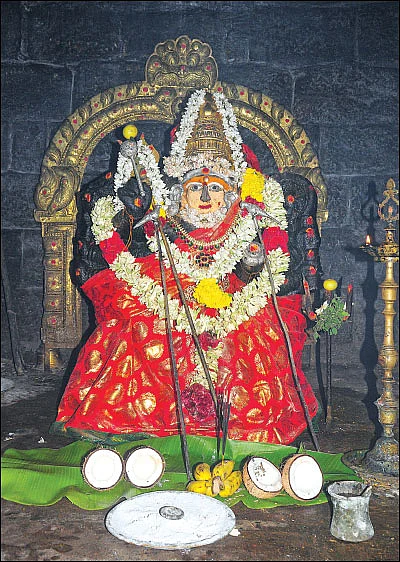 புத்தாண்டு ராசிபலன்களுடன் 5 நிமிட வாசிப்பில் சக்தி விகடனின் 10 அம்சங்கள்