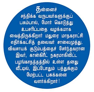 கல்லைத் தூக்கினால்... கணவன்!