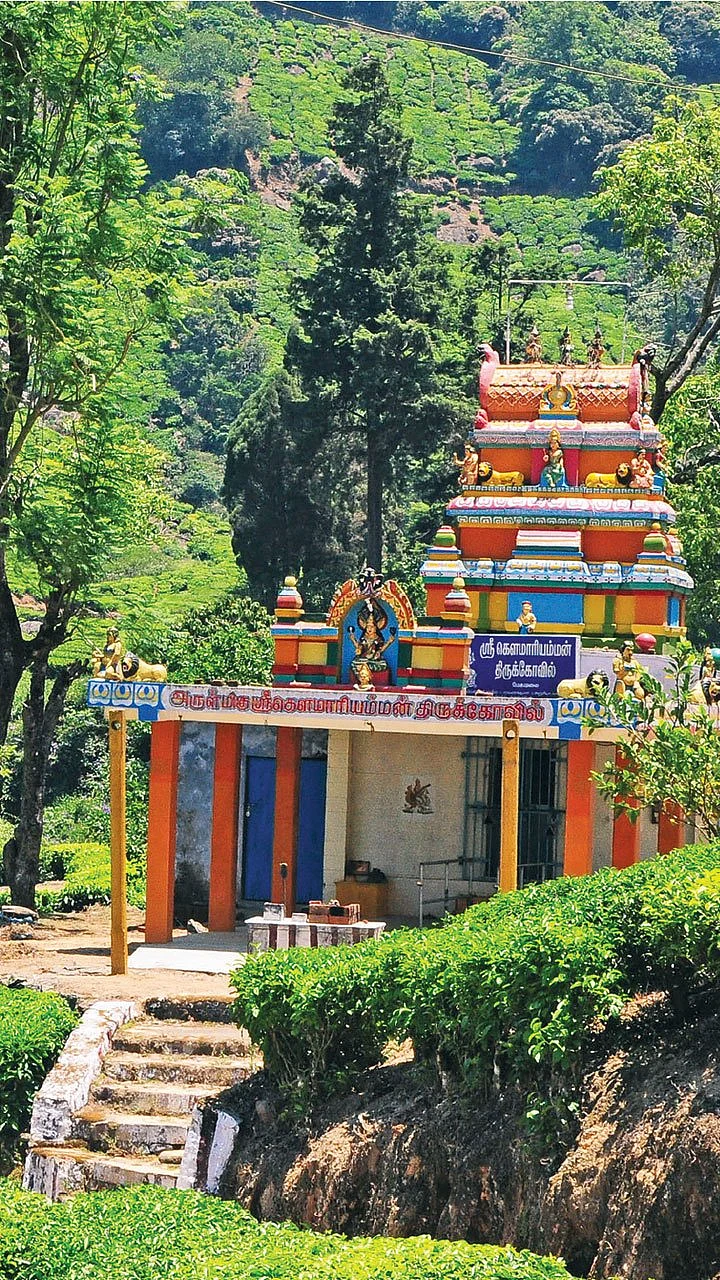 வாழ்வுக்கு வழிகாட்டும் மேகமலை முருகன்