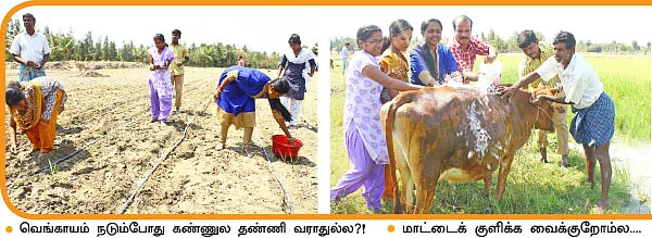 ’ஒரு நாள் விவசாயி!’
