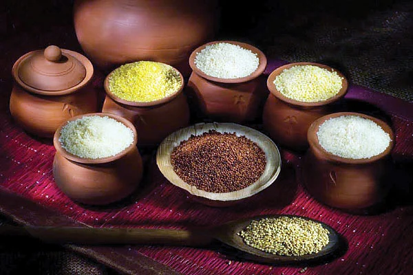 அள்ளித் தரும் ஆர்கானிக் பிசினஸ்!