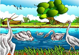 சின்னச் சின்ன வண்ணக் கதைகள்!